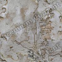 seamless of wall plaster 0005